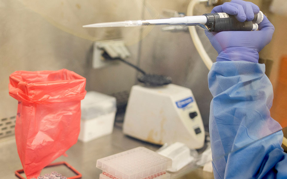 που-για-όμικρον-διπλασιασμός-κρουσμά-561637411