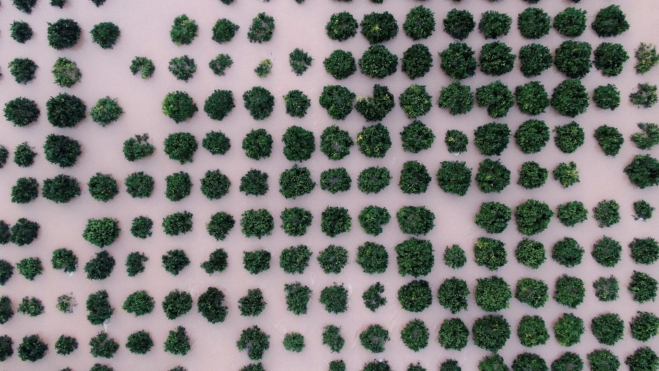 Ηλεία: Διεθνές ενδιαφέρον για την πλημμύρα στην Αρχ. Ολυμπία (εικόνες)-2