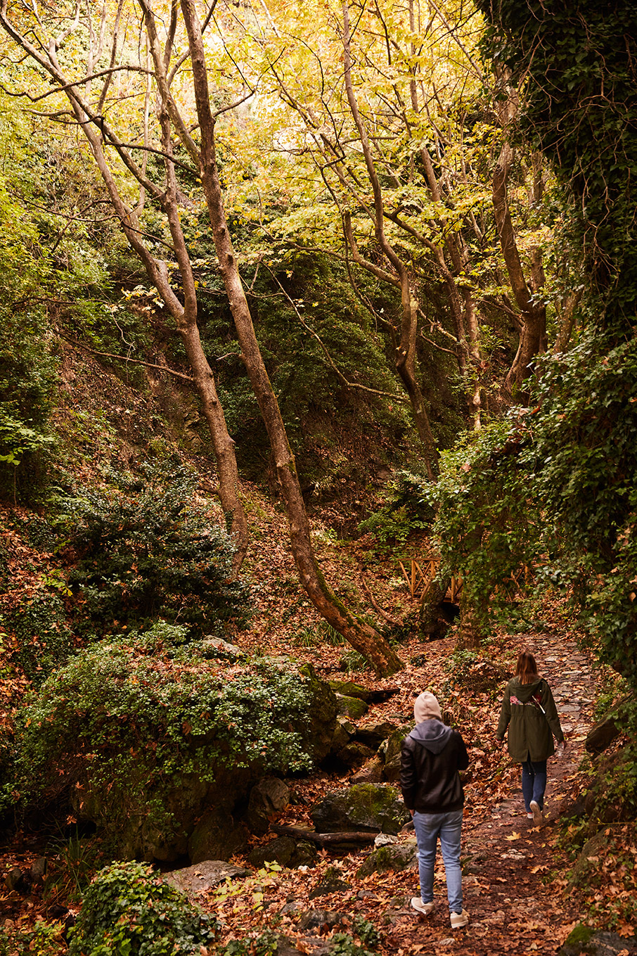 Πορταριά: Η ομορφιά είναι παντού-1