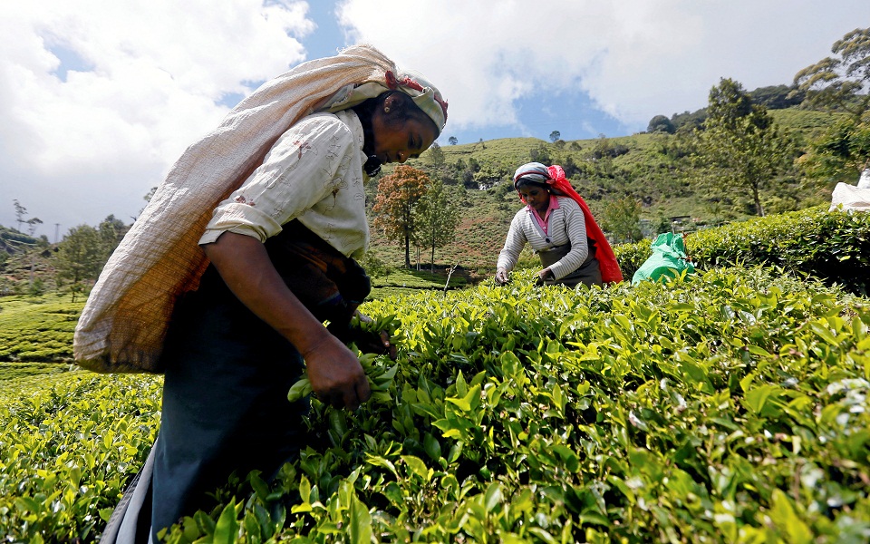δώσε-μου-πετρέλαιο-να-σου-δώσω-τσάι-561643732