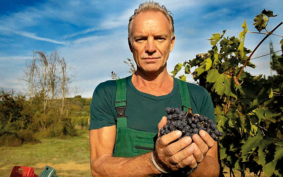 η-μουσική-το-κρασί-o-στινγκ-561648118