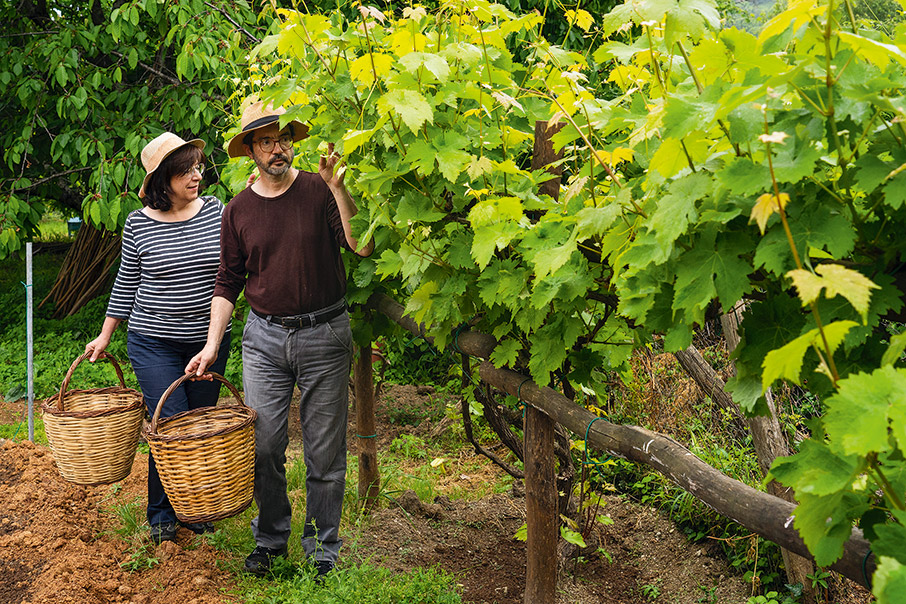 60 ξενώνες για τον χειμώνα-22