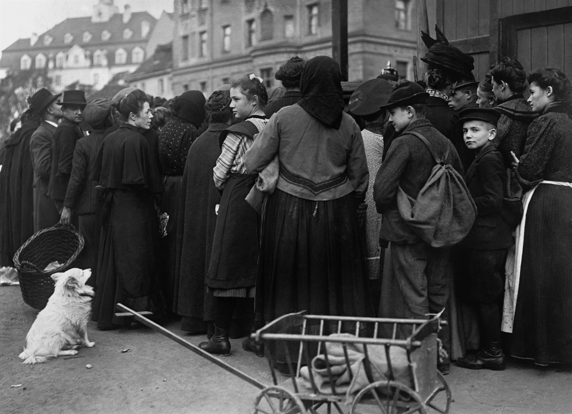 ζώντας-στην-αγέλη-των-λύκων-της-βαϊμάρ-561651496