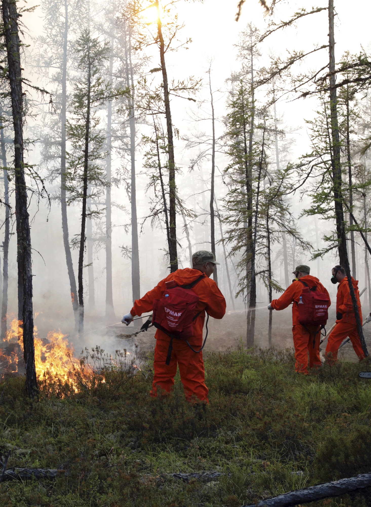 θερμοκρασία-ρεκόρ-38c-στην-αρκτική-561630244