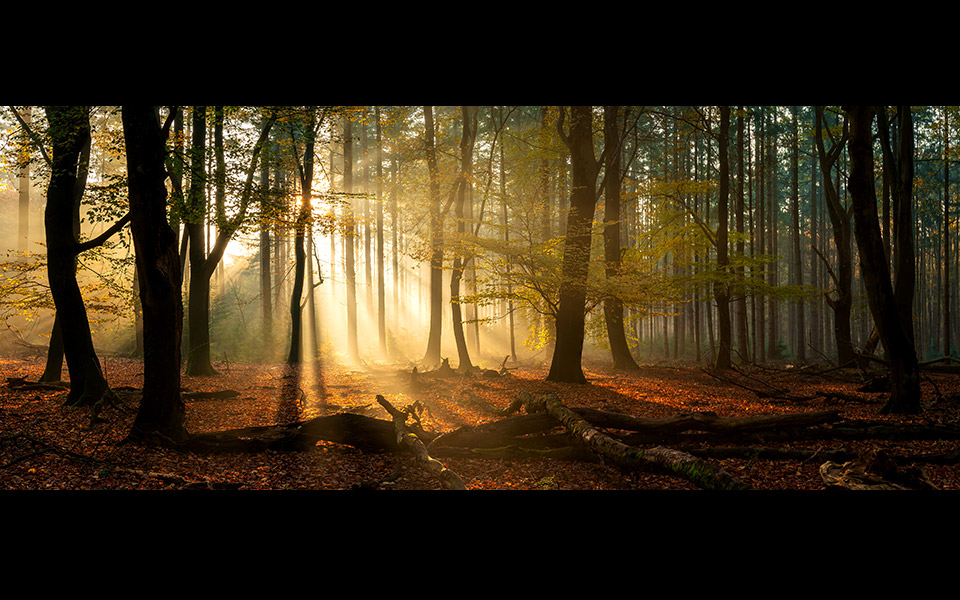 παράθυρα-στον-κόσμο-561614104