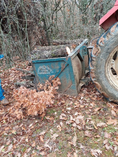 Η «μαφία του ξύλου» πληγώνει τα βουνά του Κιλκίς – Κυνηγητό με τους δασοφύλακες στα σύνορα-3