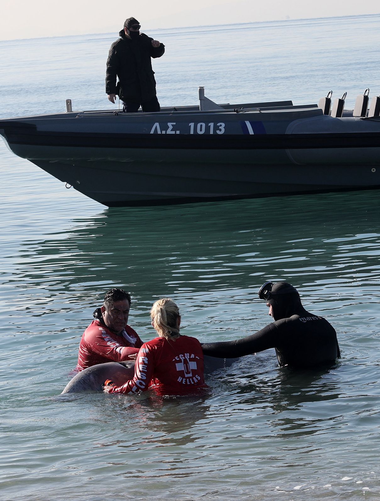 Η περιπέτεια μιας φάλαινας στον Άλιμο-1