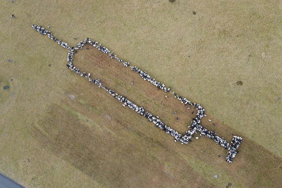 βοσκός-με-πίστη-στην-επιστήμη-561656026