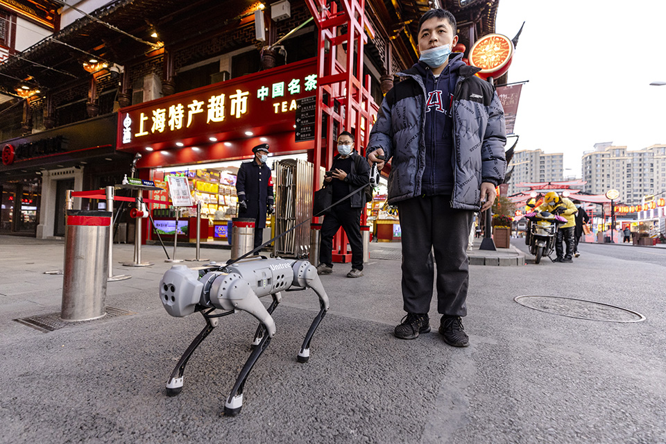 πρωτοχρονιά-561666412