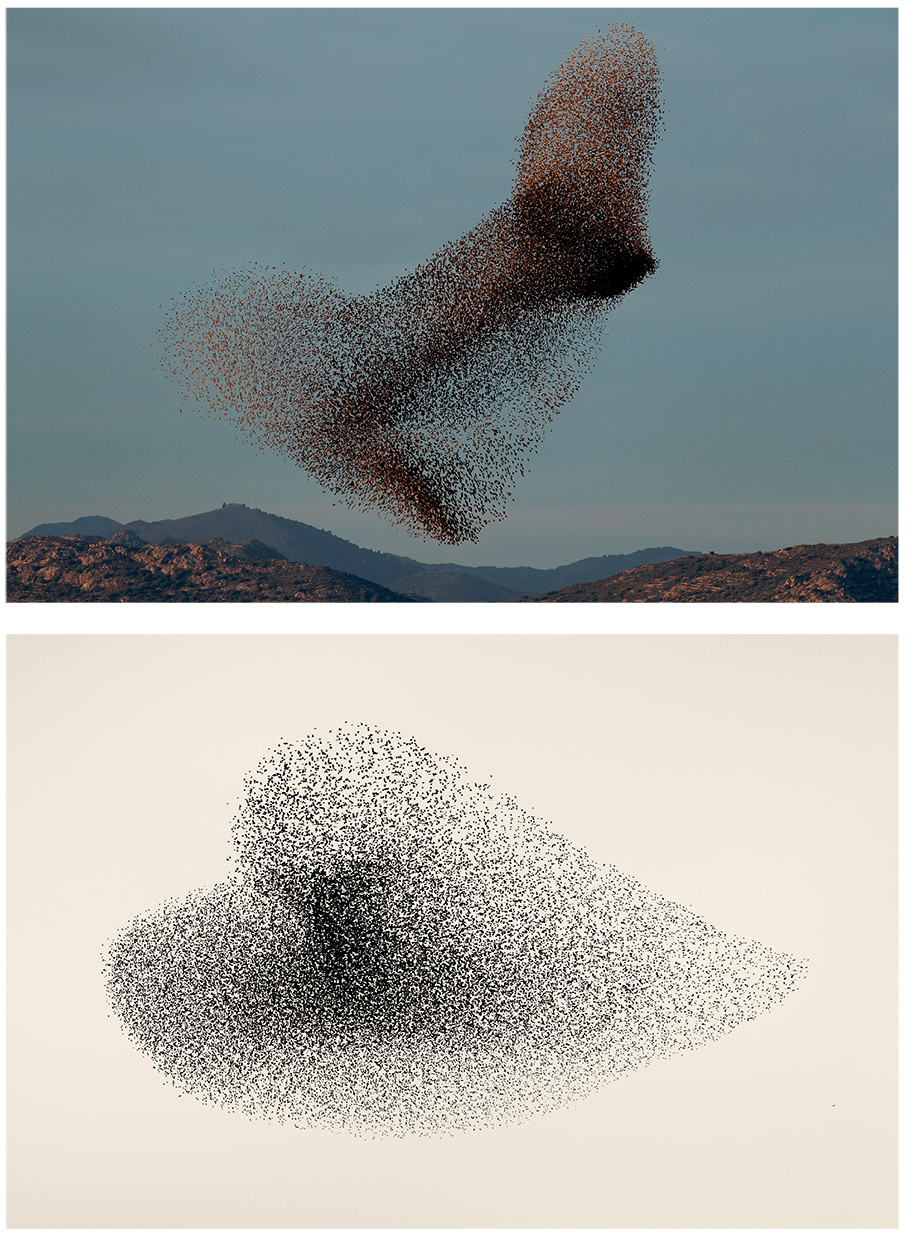 Black Sun: Ο Soren Solkaer «είδε» τον χορό των ψαρονιών-2