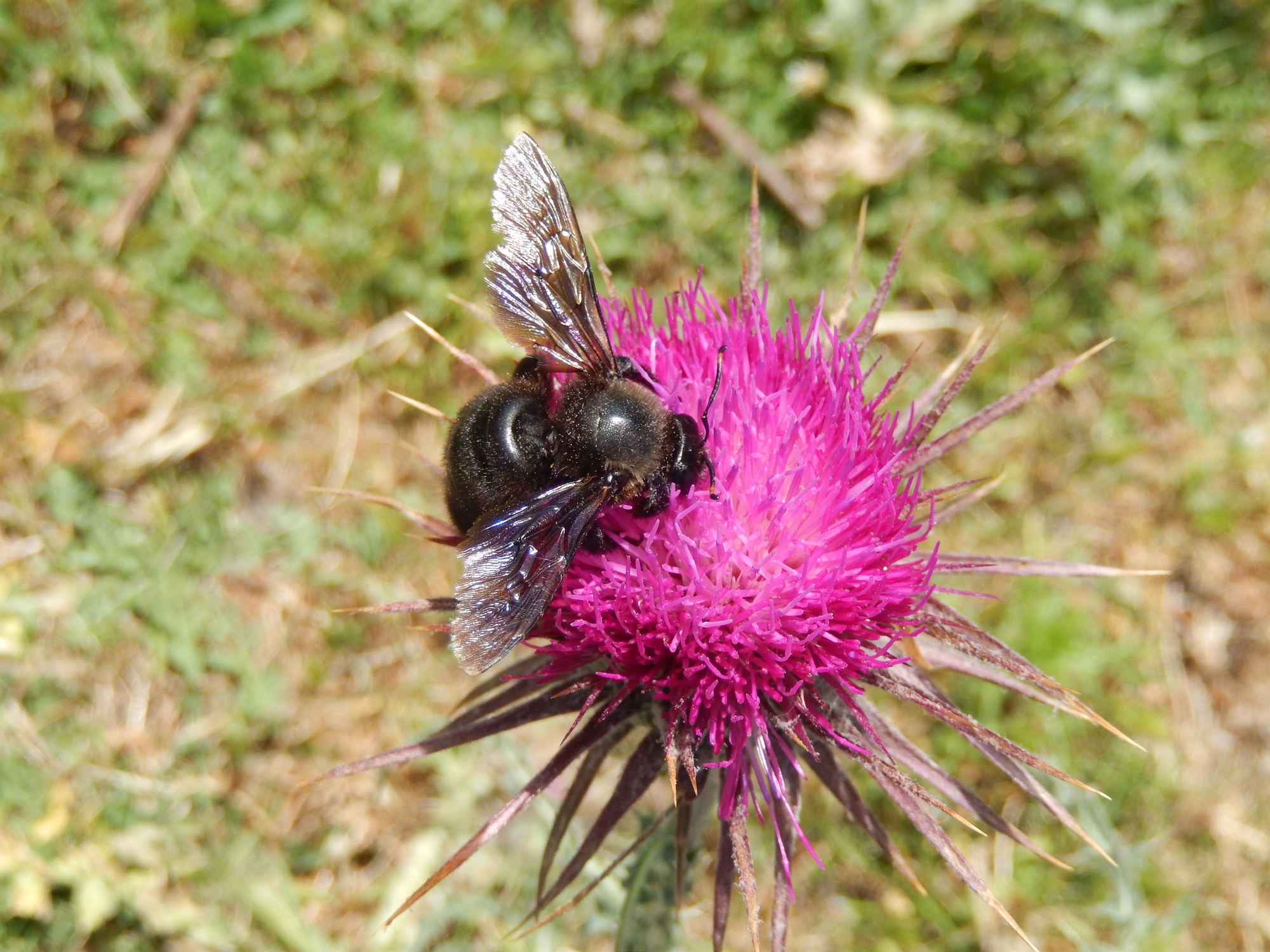 ο-παράδεισος-έχει-και-άλλα-μυστικά-561693103