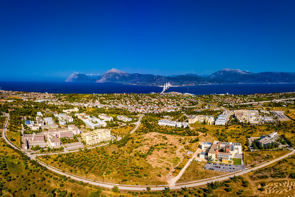 πάτρα-πόλεμος-για-τα-αδέσποτα-561677143