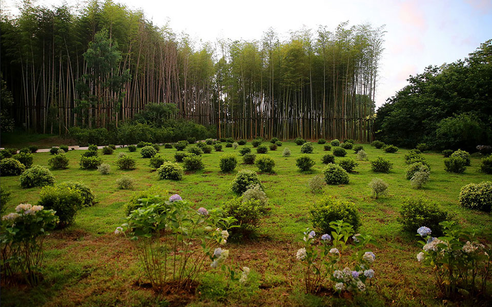 τι-κρύβει-το-παράξενο-πάρκο-ενός-ολιγά-561676126