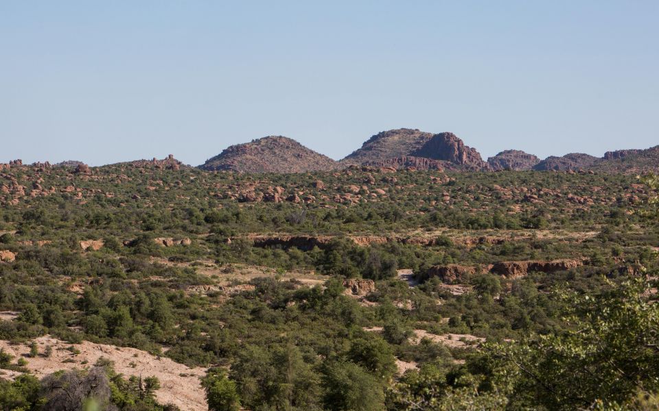 σε-κίνδυνο-η-πράσινη-στροφή-της-ε-ε-561682510