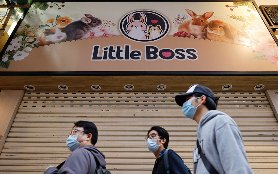 n-kορέα-προς-θανάτωση-χιλιάδες-χάμστερ-561674797