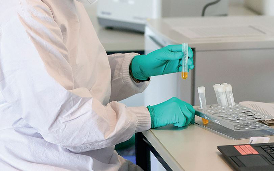 δωρεάν-rapid-test-πενήντα-επιπλέον-σημεία-με-τ-561667819