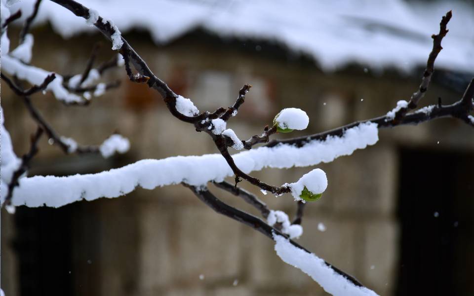 meteo-κάτω-από-τους-15-c-η-θερμοκρασία-στη-φθι-561689047