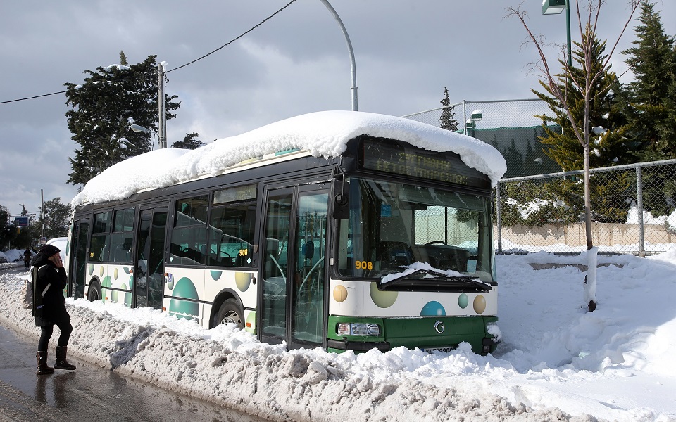 κ-λαγουβάρδος-στην-κ-σε-αποδρομή-η-κ-561685720