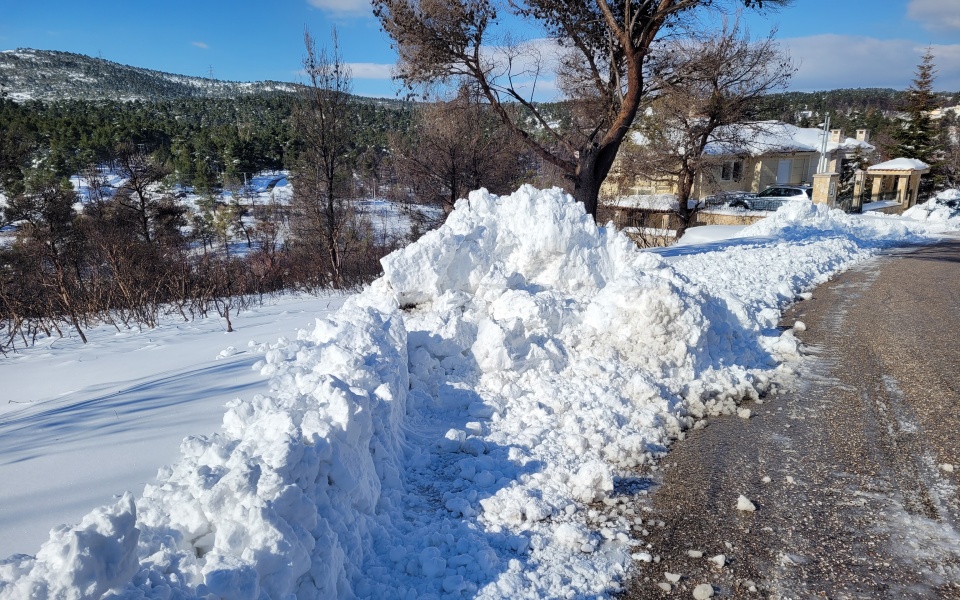 δεδδηε-100-παροχές-σε-μαραθώνα-και-κορωπ-561689992