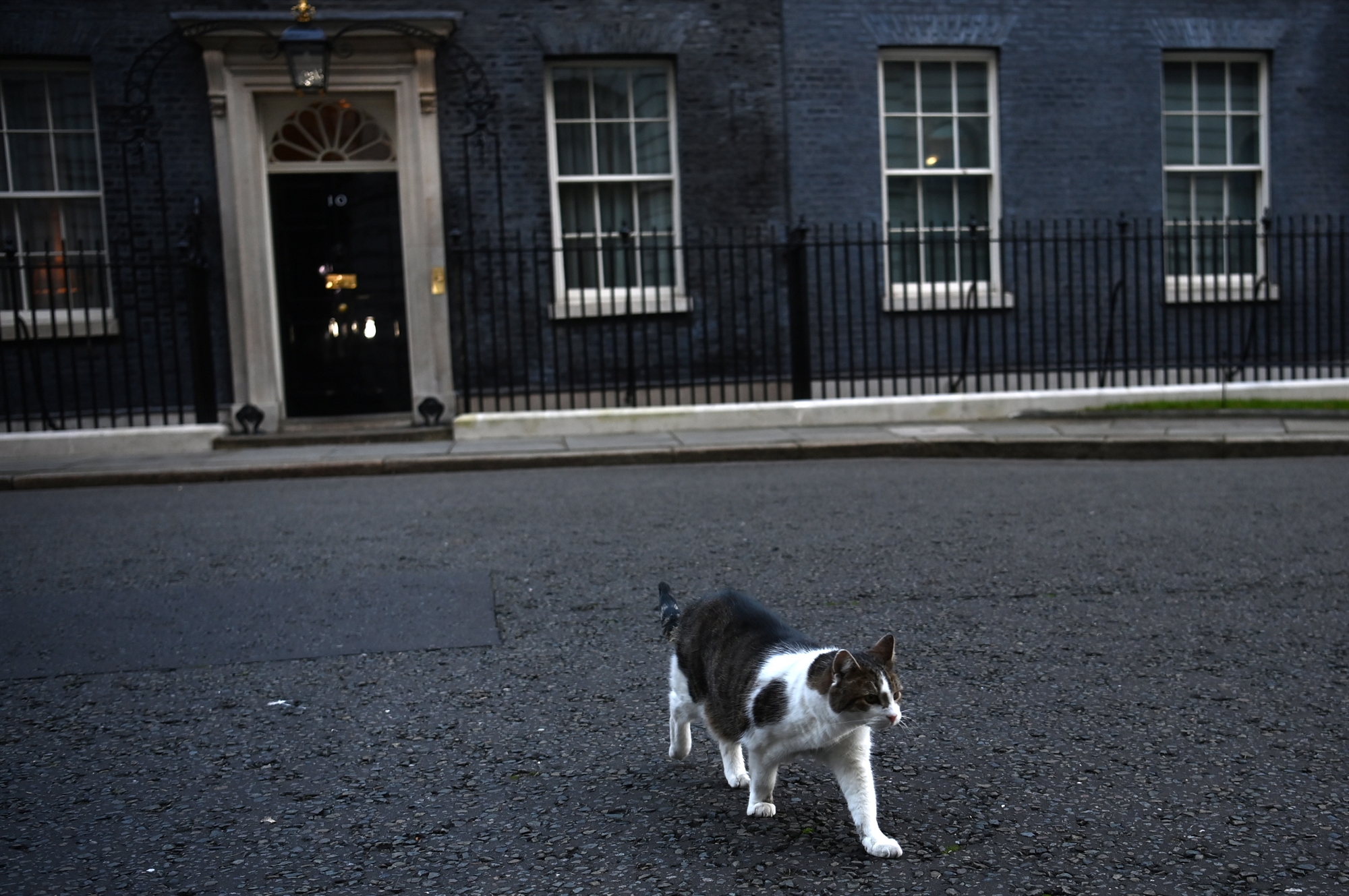 χωρίς-μανίκια-ο-τζόνσον-ψάχνει-να-βρει-561681508