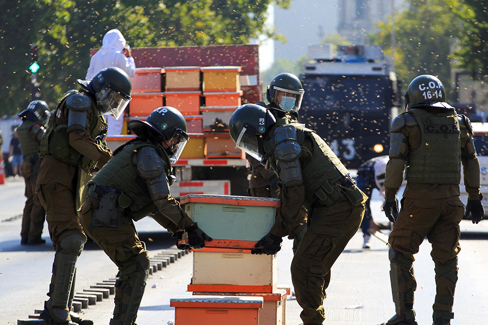 Διαδηλωτές που τσιμπάνε