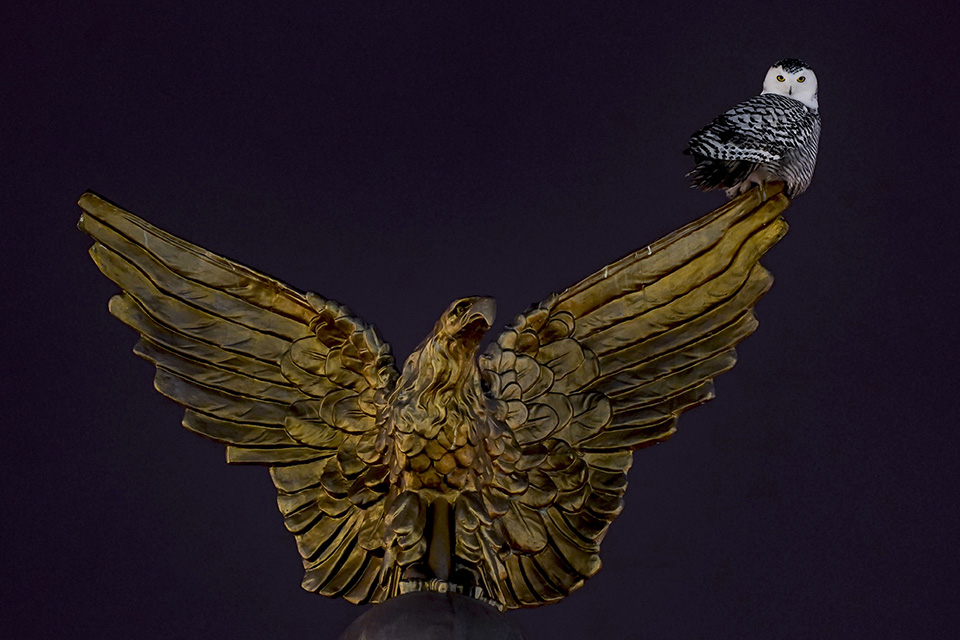 Η νέα τρέλα της Ουάσιγκτον