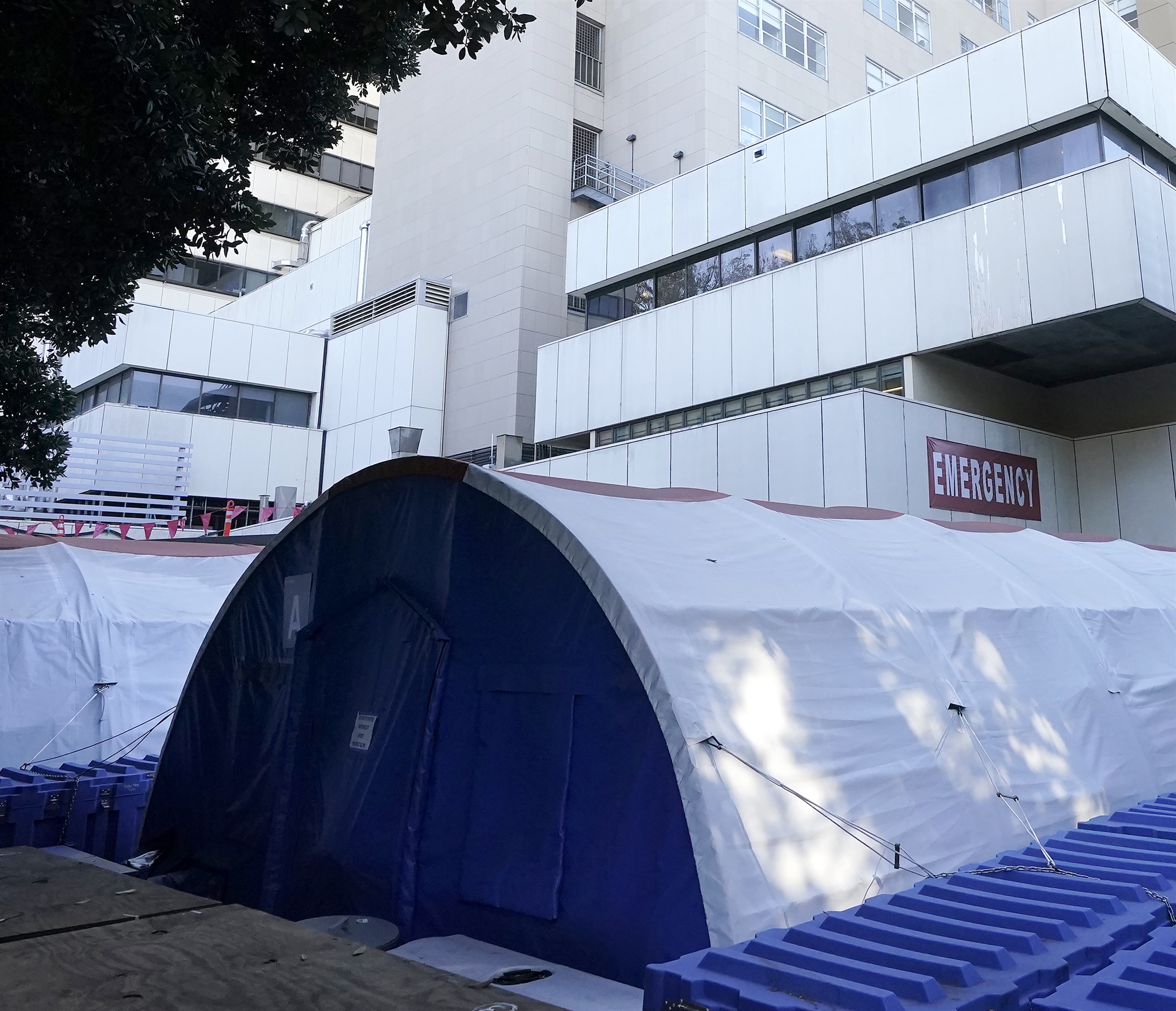 Εμβολιασμένος γιατρός: «Εμείς είμαστε οι ηλίθιοι τώρα»-1