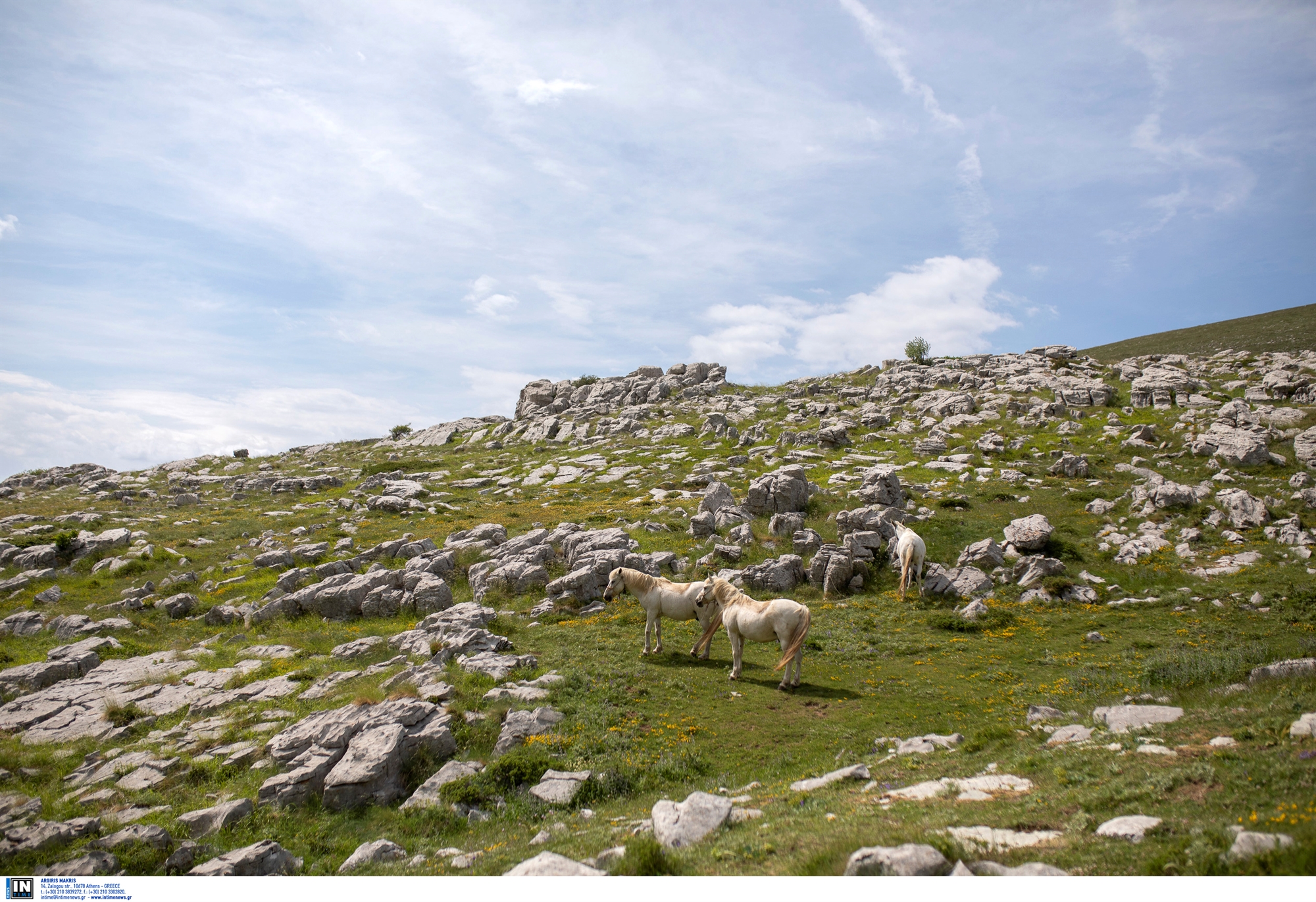 το-δίκτυο-των-απάτητων-βουνών-οι-π-561675280