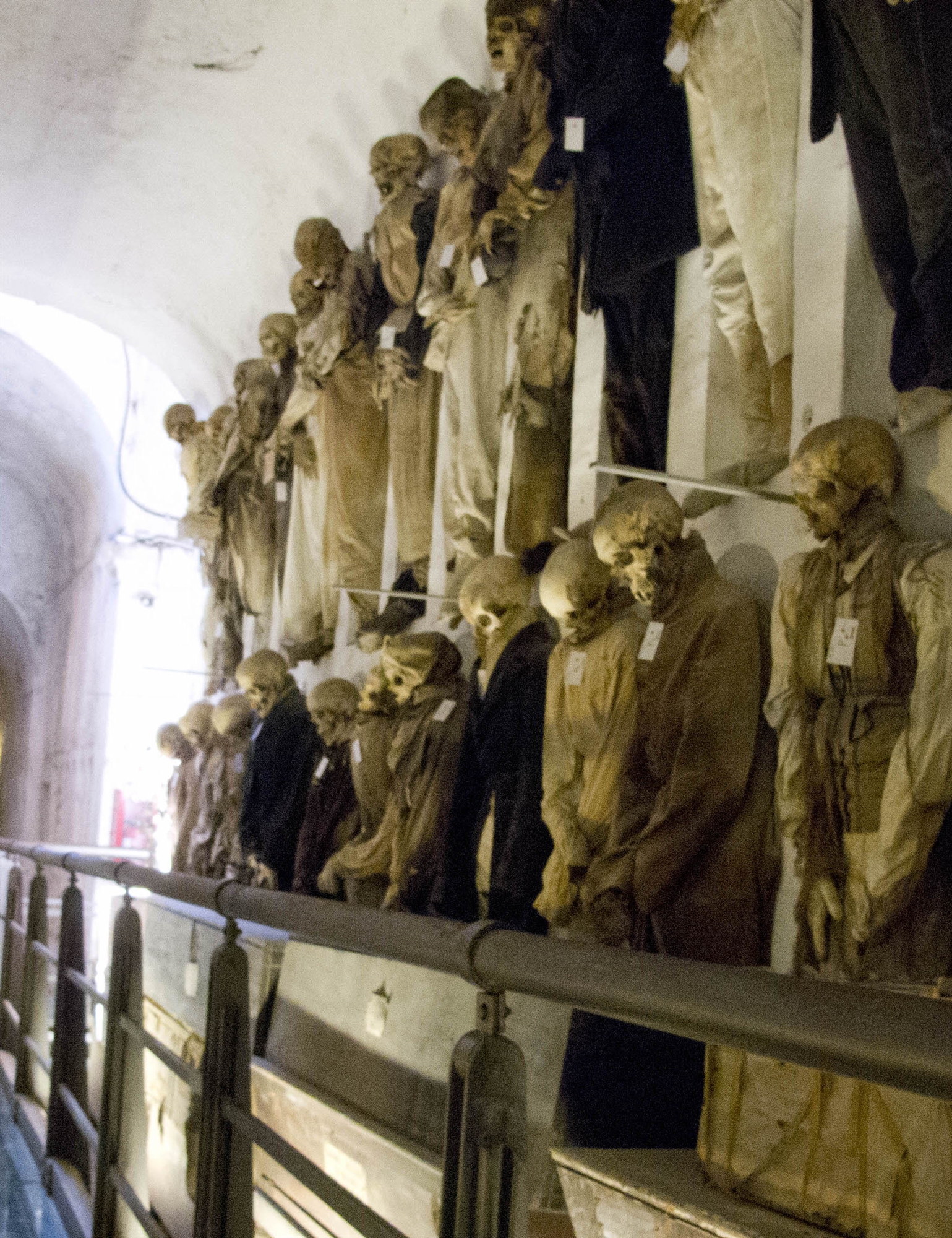 στο-φως-μυστικά-από-τις-μούμιες-του-παλ-561657739