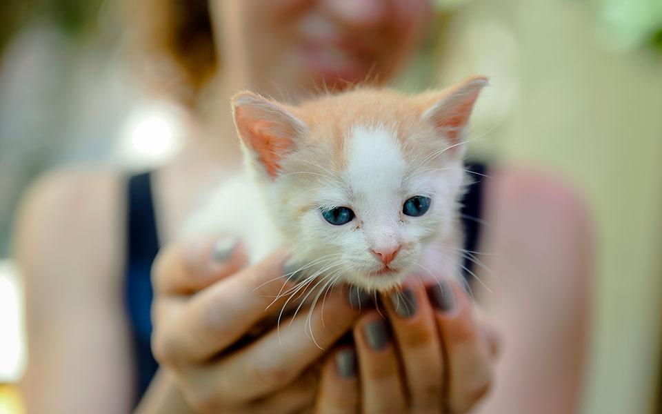 σημαντική-πρόταση-118-ευρωβουλευτών-για-561667471