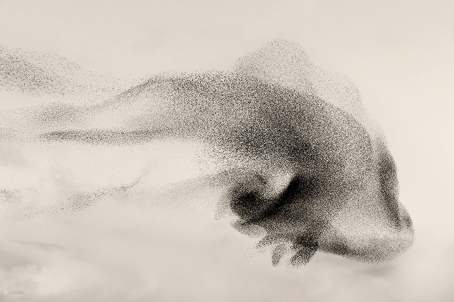 Black Sun: Ο Soren Solkaer «είδε» τον χορό των ψαρονιών-3