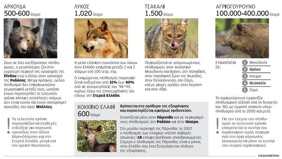 H άγρια φύση χτυπάει την πόρτα μας-1