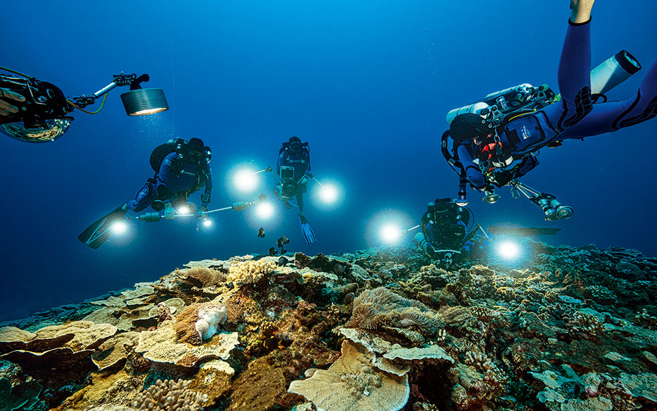 ένας-υποθαλάσσιος-κήπος-από-τριαντάφ-561682423