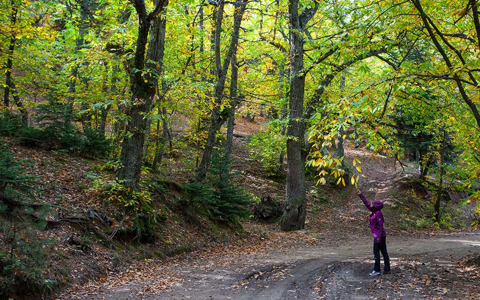 Πάρνωνας: Τρία χωριά για το Σαββατοκύριακο-1