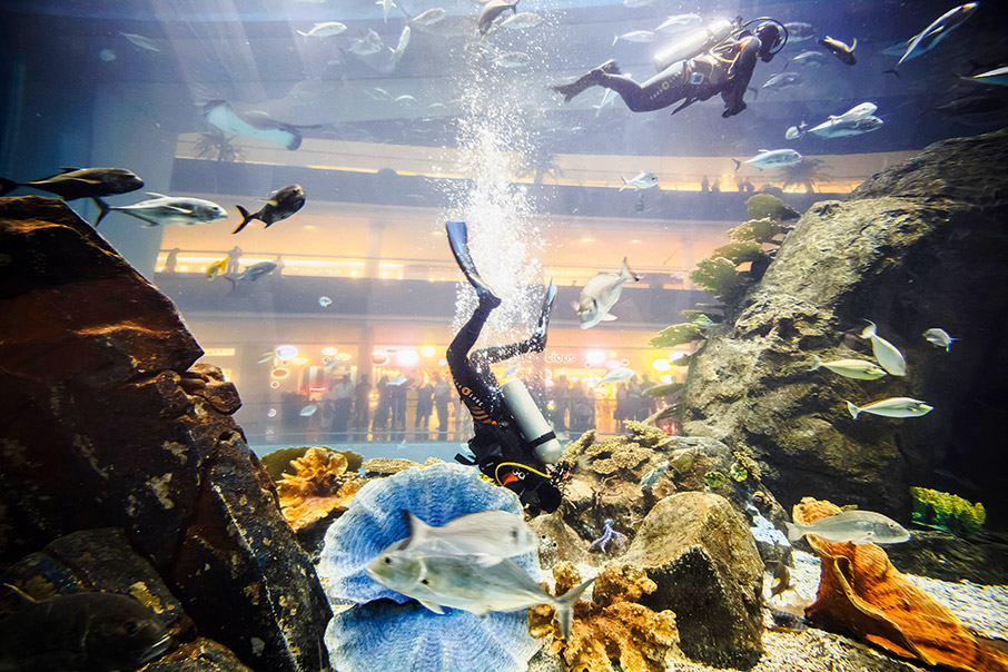 Ντουμπάι: Μέρες και νύχτες στο Εμιράτο της… υπερβολής-6