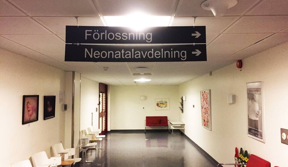 σουηδία-μαιευτική-πτέρυγα-σε-νοσοκομ-561658762