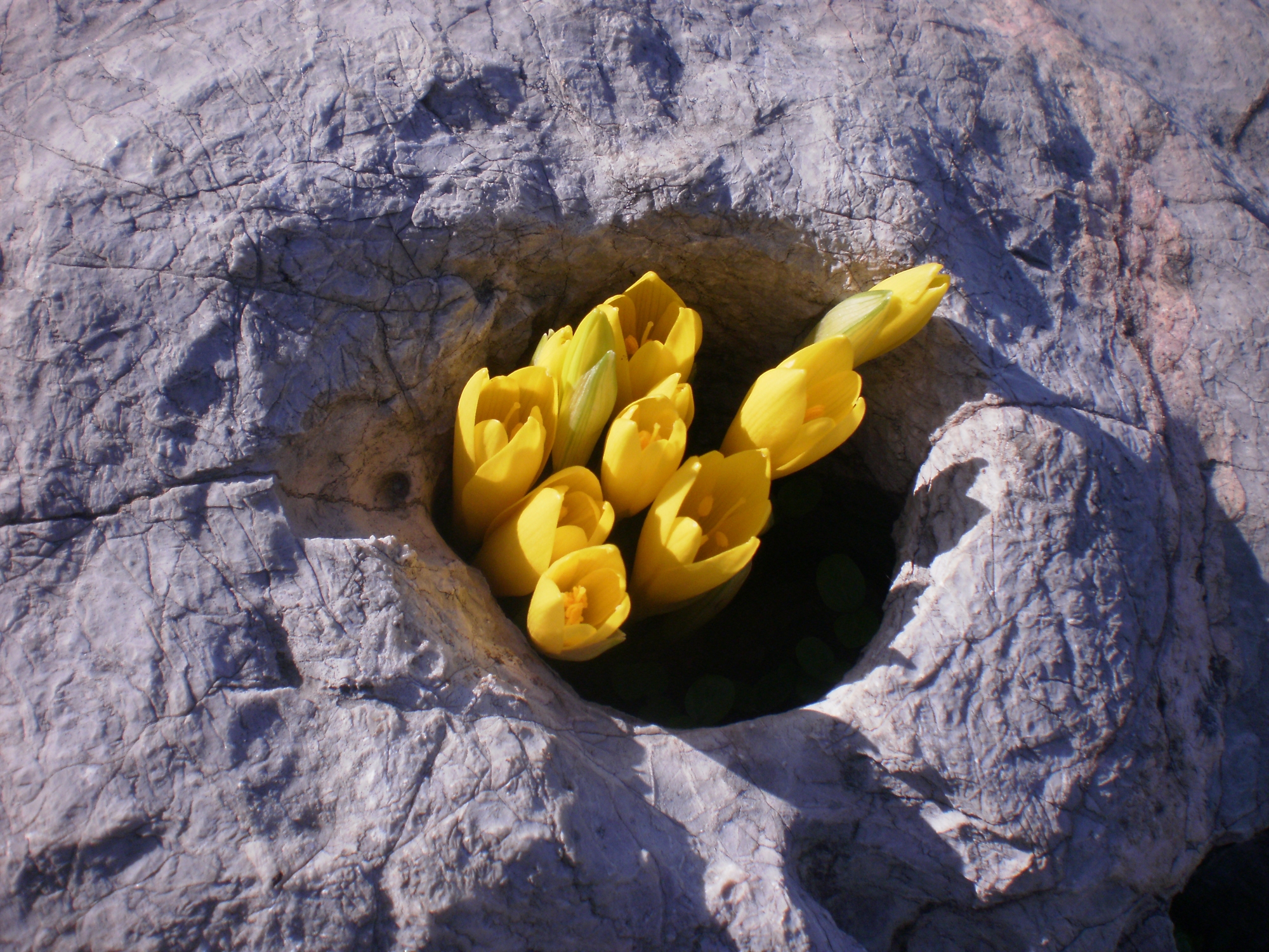 Στο καταφύγιο της Ακρόπολης-1