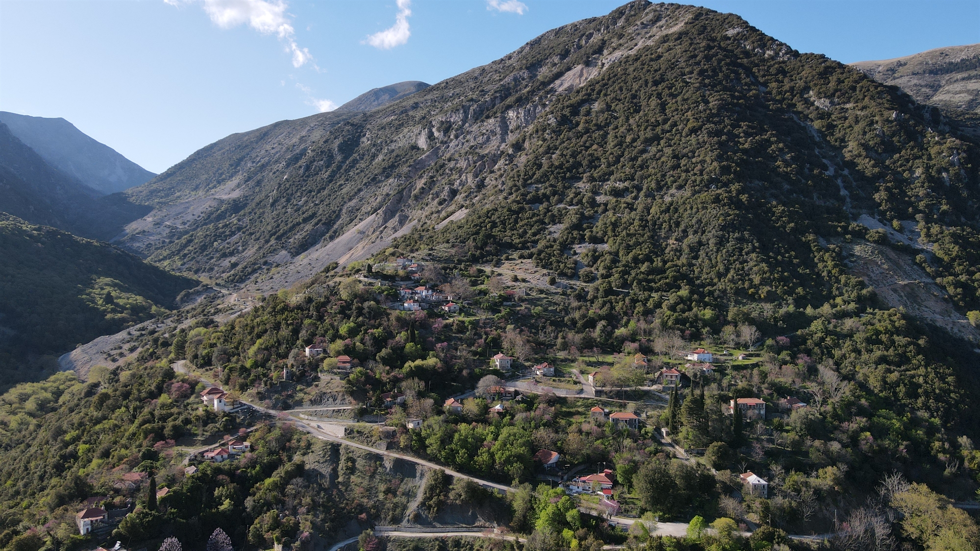 νίκος-γκατζογιάννης-τι-σόι-αντάρτικ-561682018