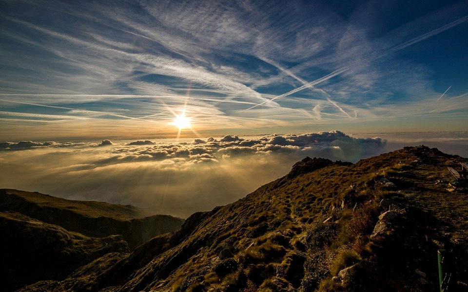 ερευνα-τα-ορεινά-δάση-της-γης-εξαφανίζ-561680365