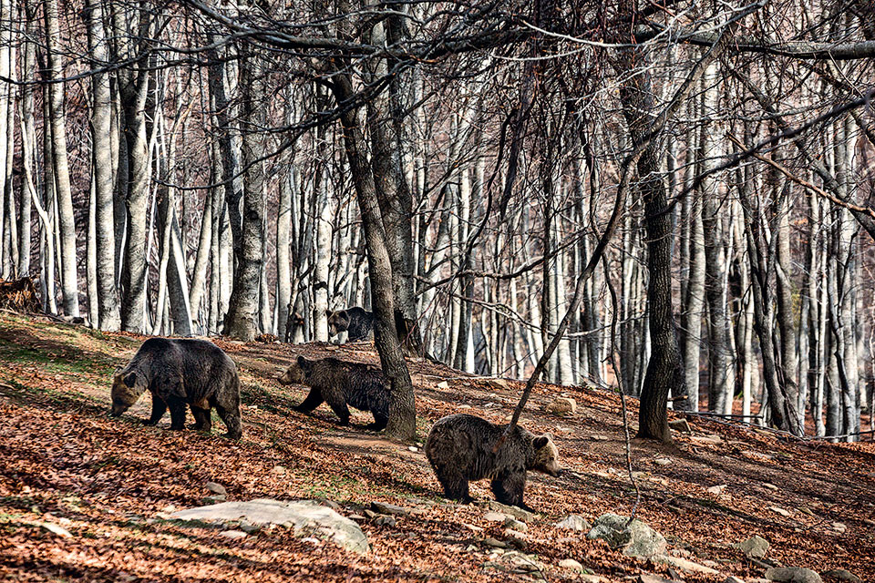 Διαβάστε στην «Καθημερινή της Κυριακής»-6