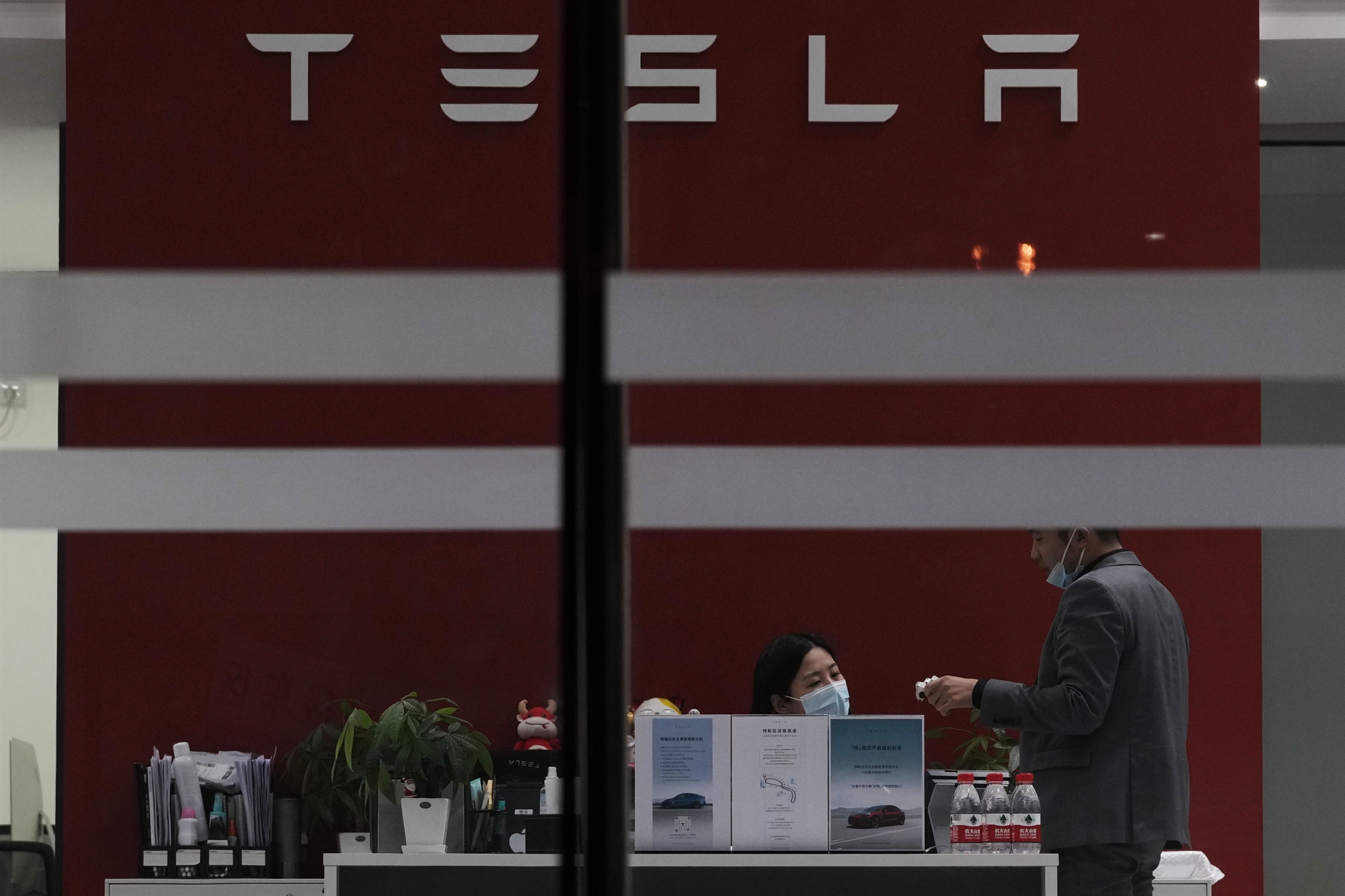 η-αγάπη-της-tesla-προς-το-σινγιάνγκ-γεννά-561656338