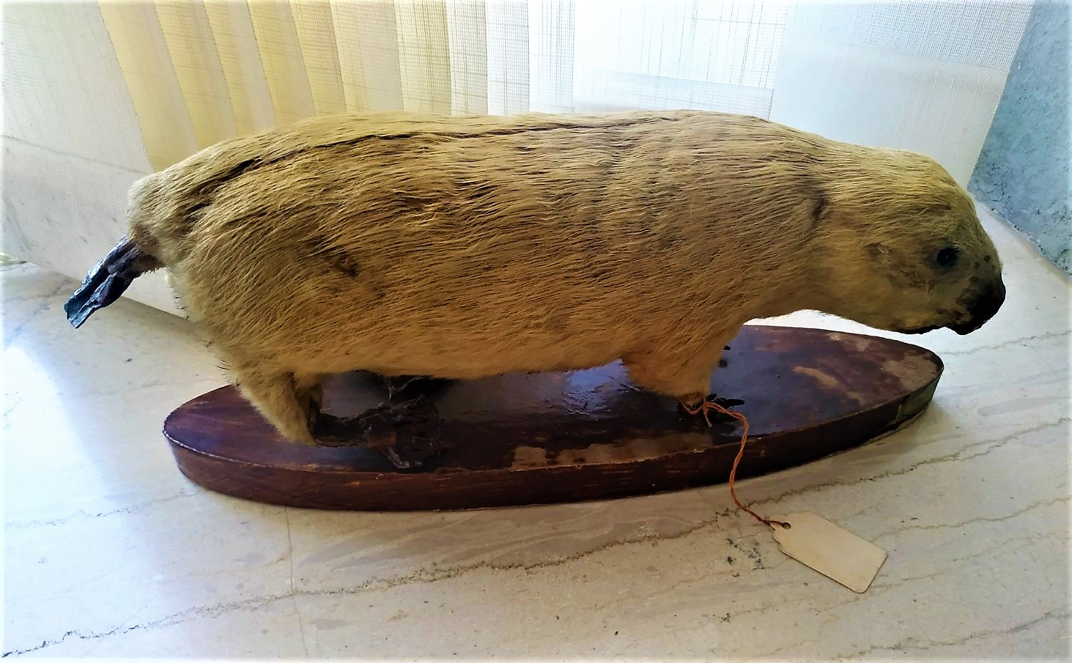 Ο «παράδεισος» έχει και άλλα μυστικά-1