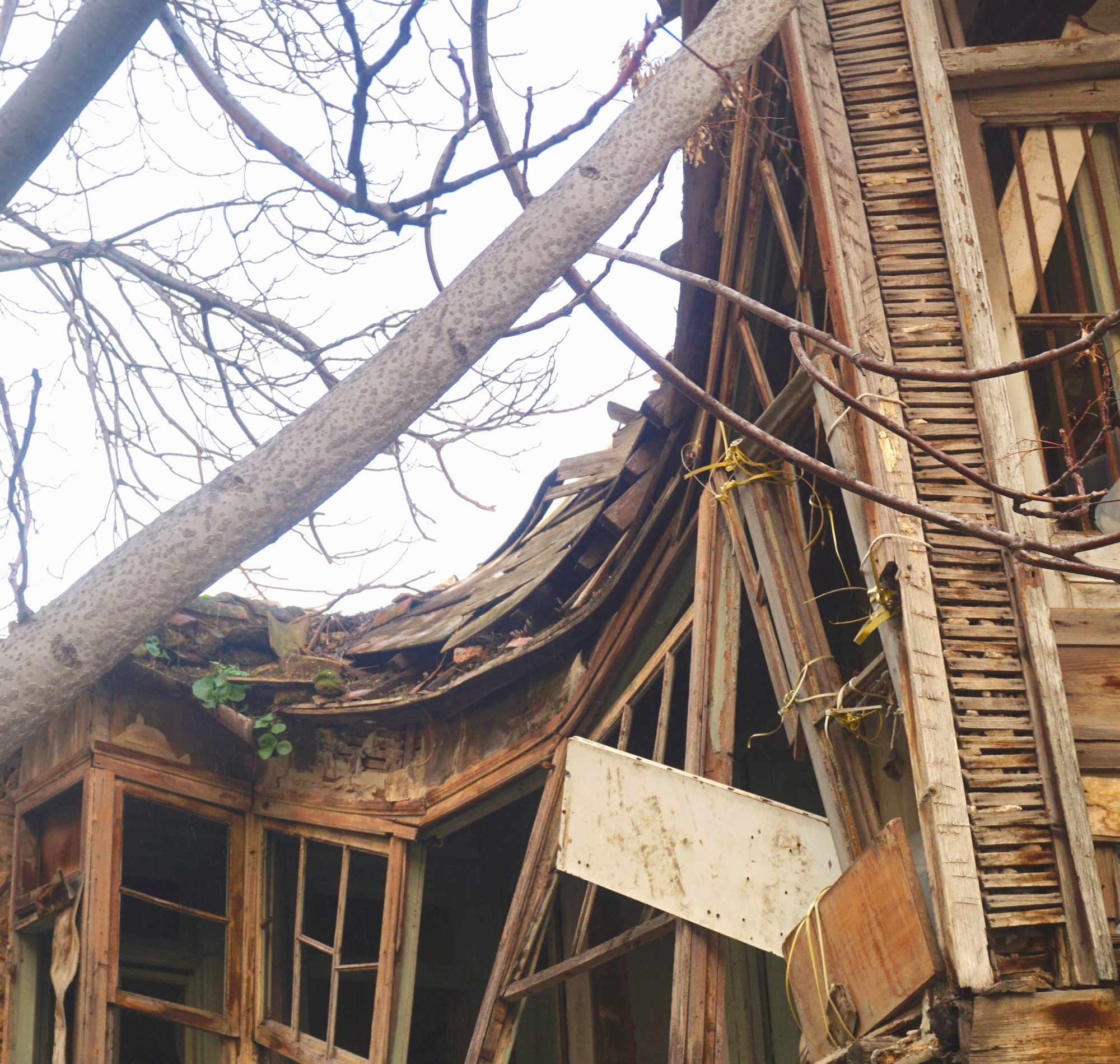 τα-χαγιάτια-μιας-ξεχασμένης-αθήνας-στ-561682048