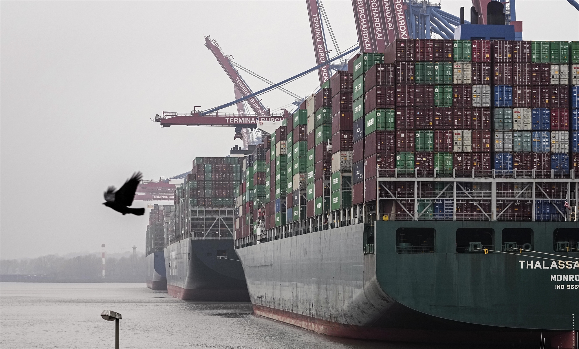 περιορισμένος-ο-αντίκτυπος-της-όμικ-561692554