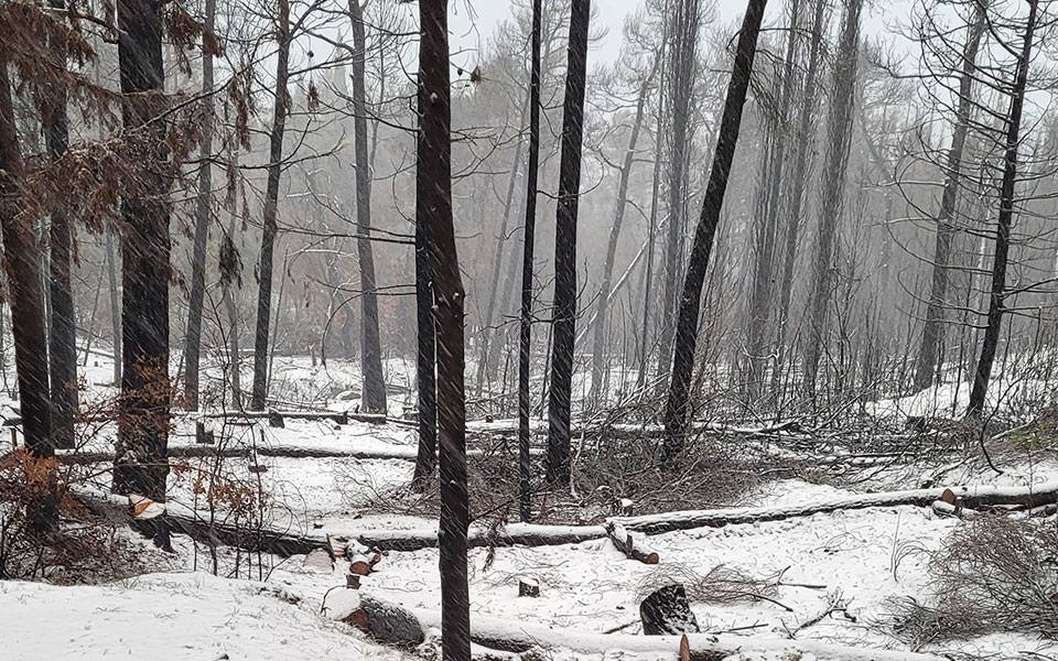 κακοκαιρία-ελπίς-σε-ετοιμότητα-η-π-ε-561681133