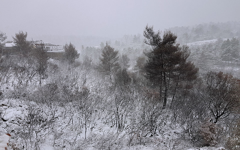 έφτασε-η-κακοκαιρία-διομήδης-έρχο-561662842