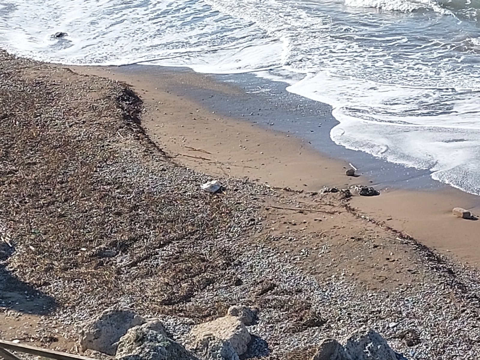 Ρόδος: Εντοπίστηκαν εκατοντάδες χιλιάδες «χάπια των τζιχαντιστών» μέσα σε συσκευασίες με σβάστικα-2