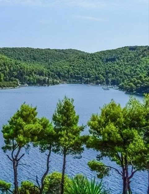 Νέα σελίδα για τις περιοχές Natura-1