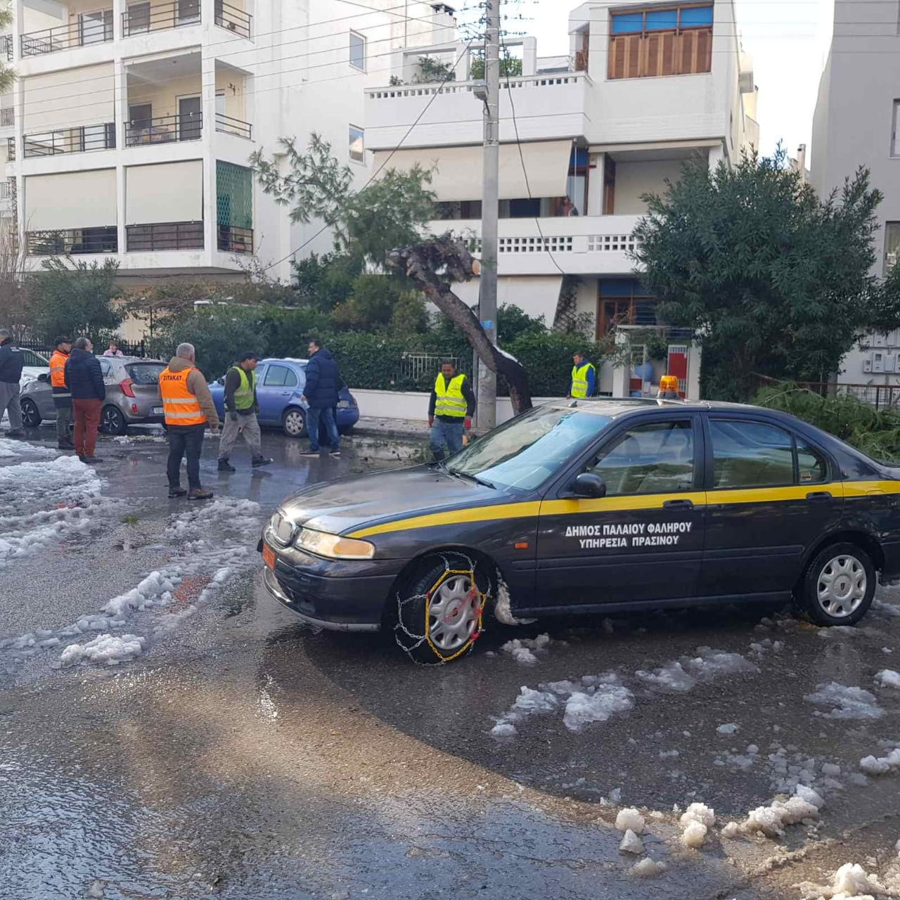 Κακοκαιρία Ελπίδα – Αττική: Συνεργεία υλοτόμων εργάζονται για την απομάκρυνση πεσμένων δένδρων (εικόνες)-3