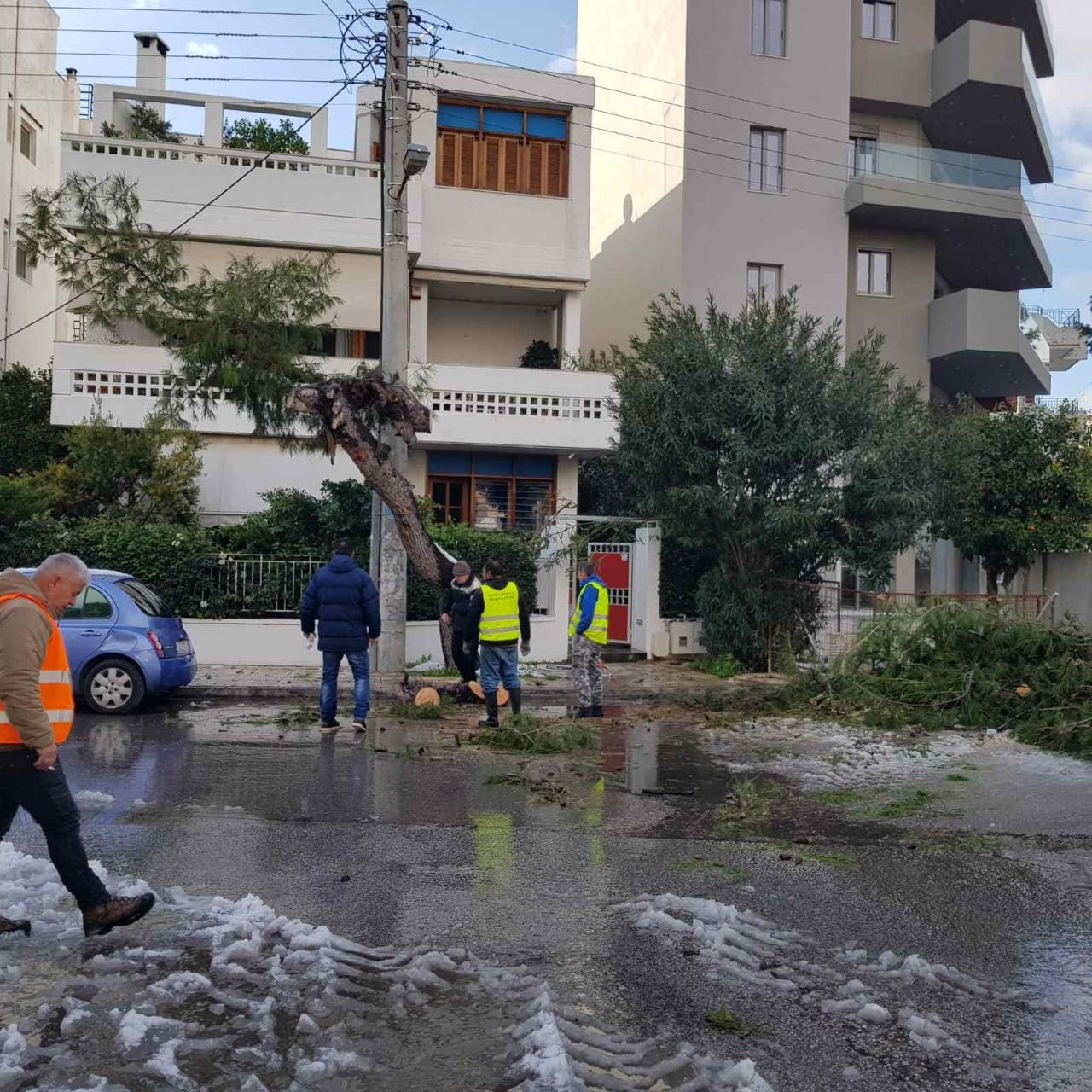 Κακοκαιρία Ελπίδα – Αττική: Συνεργεία υλοτόμων εργάζονται για την απομάκρυνση πεσμένων δένδρων (εικόνες)-6